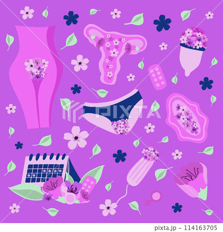 Vector isolated set on the theme of the menstrual period. Vector isolated set on the theme of the menstrual period. 114163705