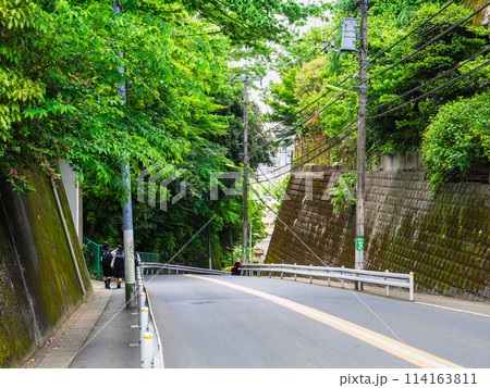 東京　上野毛通り　稲荷坂 114163811