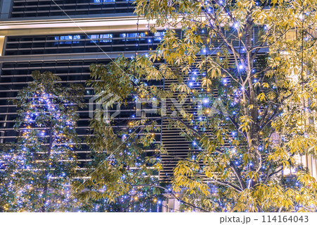 イルミネーションの日本橋　東京夜景 114164043