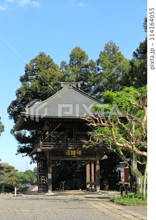 ツツジの花の名所 青梅市薬王寺 ツツジの花の名所 青梅市薬王寺 114164055