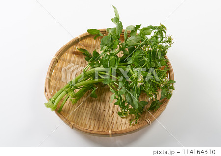 花のついたクレソン 白背景 花のついたクレソン 白背景 114164310