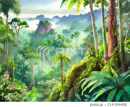 水彩画のジャングルのイラストのイラスト素材 [114164488] - PIXTA