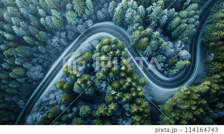 A winding road with trees in the background 114164743
