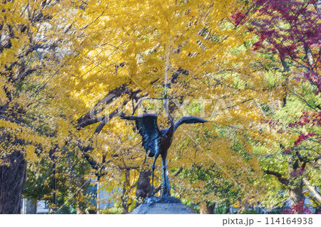 紅葉の日比谷公園　東京秋風景 114164938