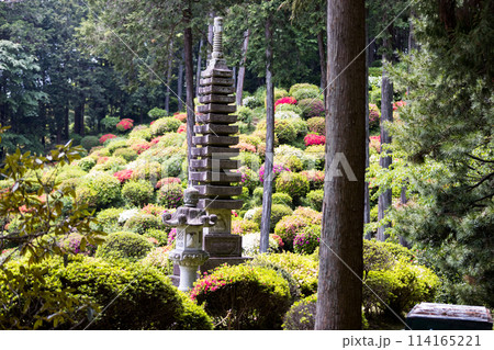 東京都青梅市 薬王寺のツツジ 東京都青梅市 薬王寺のツツジ 114165221