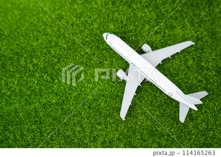 Passenger plane on the grass. Green air transportation of passengers and cargo. Environmentally friendly aircraft, green fuel. Technological innovations in aviation industry. 114165263
