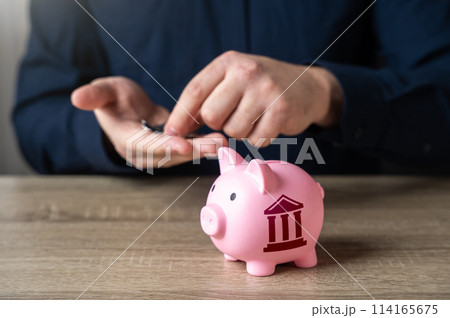 Government budget and taxes. Economics, government savings programs and cost cutting. 114165675