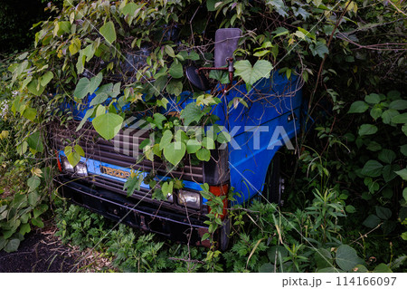 自然に飲み込まれる廃車 自然に飲み込まれる廃車 114166097