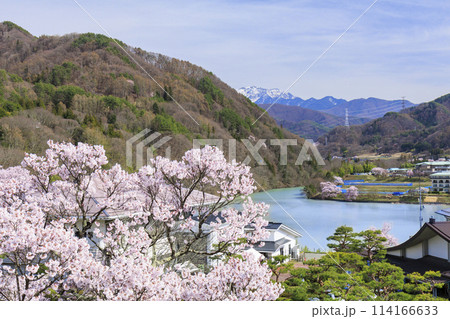 桜満開の高遠城址公園 桜満開の高遠城址公園 114166633