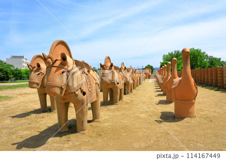 史跡今城塚古墳 114167449