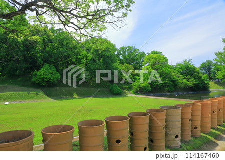 史跡今城塚古墳 114167460