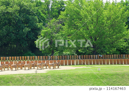 史跡今城塚古墳 114167463