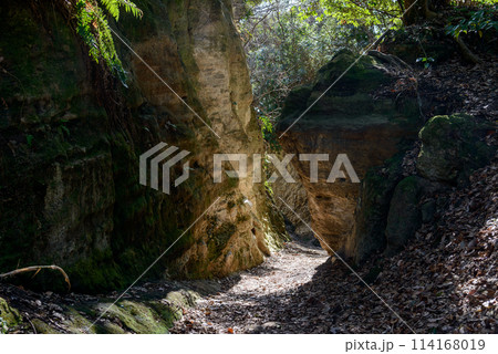 切通、峡谷、名越切通、名越切通しハイキングコース、国指定史跡、巨岩、巨壁 切通、峡谷、名越切通、名越切通しハイキングコース、国指定史跡、巨岩、巨壁 114168019