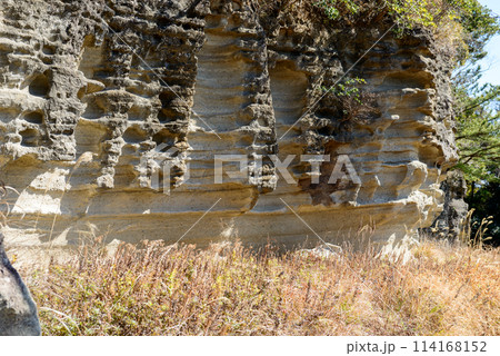 地層が見える断崖、お猿畠の大切岸、神奈川県鎌倉市、逗子市 地層が見える断崖、お猿畠の大切岸、神奈川県鎌倉市、逗子市 114168152