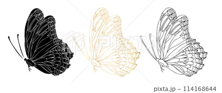 Butterfly black ink line art, silhouette illustrations and gold foil. Insect set for coloring page, tattoo, hand drawn stickers, coloring page. Vector illustration, isolate on white background Butterfly black ink line art, silhouette illustrations and gold foil. Insect set for coloring page, tattoo, hand drawn stickers, coloring page. Vector illustration, isolate on white background 114168644
