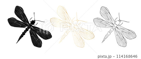 Dragonfly black ink line art, silhouette illustrations and gold foil. Insect set for coloring page, tattoo, hand drawn stickers, coloring page. Vector illustration, isolate on white background Dragonfly black ink line art, silhouette illustrations and gold foil. Insect set for coloring page, tattoo, hand drawn stickers, coloring page. Vector illustration, isolate on white background 114168646