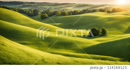 Sunny days warmth captured in a round blur embodying the essence of smooth summer 114169123