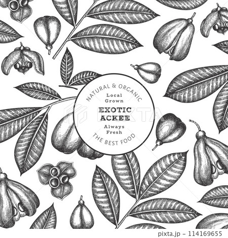Hand drawn sketch style ackee banner. Organic fresh food vector illustration. Retro exotic fruit design template. Engraved style botanical background. Hand drawn sketch style ackee banner. Organic fresh food vector illustration. Retro exotic fruit design template. Engraved style botanical background. 114169655