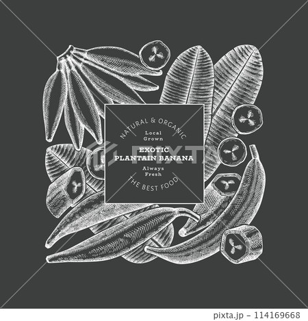 Hand drawn sketch style plantain banner. Organic fresh fruit vector illustration on chalk board. Retro exotic banana fruit design template 114169668