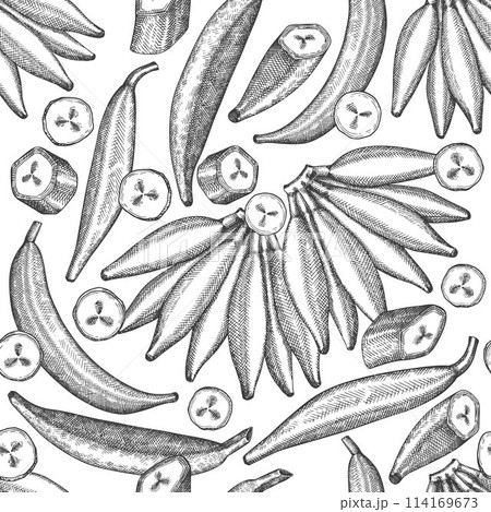Hand drawn sketch style plantain seamless pattern. Organic fresh fruit vector illustration. Retro exotic banana fruit background 114169673