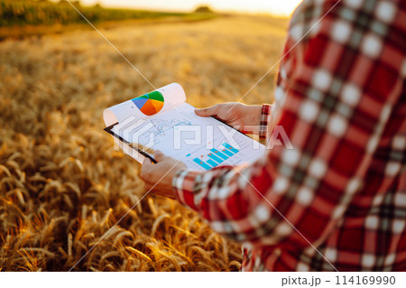 Tablet in the hands of a farmer. Smart farm. Farmer checking his crops on an agricultural field. 114169990