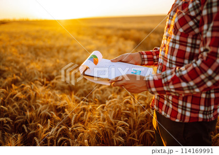 Tablet in the hands of a farmer. Smart farm. Farmer checking his crops on an agricultural field. 114169991