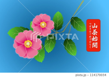 山茶始開 つばきはじめてひらく 山茶始開 つばきはじめてひらく 114170034