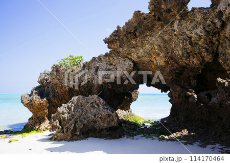 大金久海岸の岩 114170464