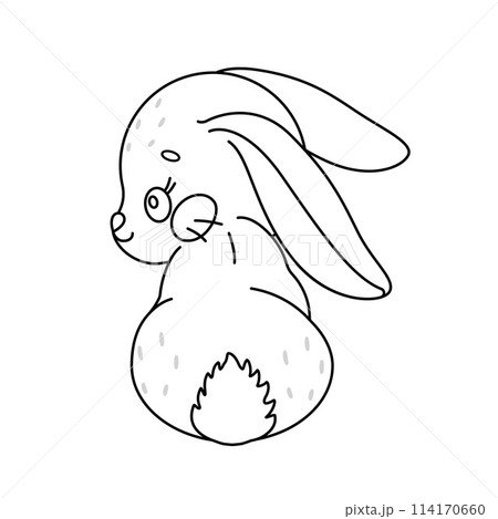 Cute rabbit. Cartoon easter Bunny. Kawaii bunny Coloring page for kids and adults. 114170660