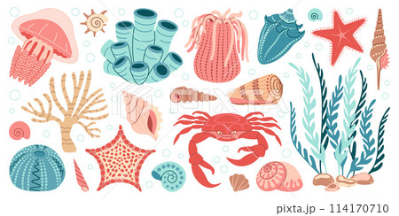 Hand drawn marine animals and plants flat style set, underwater ecosystem for your design. Hand drawn marine animals and plants flat style set, underwater ecosystem for your design. 114170710