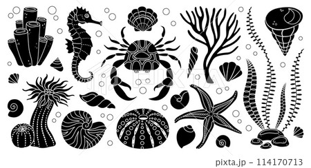 Marine animals and plants silhouette set, underwater ecosystem black and white elements Marine animals and plants silhouette set, underwater ecosystem black and white elements 114170713