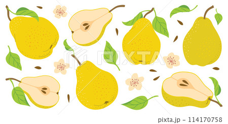 Ripe juicy pears. Hand drawn colorful pear set, with flowers and leaves. 114170758