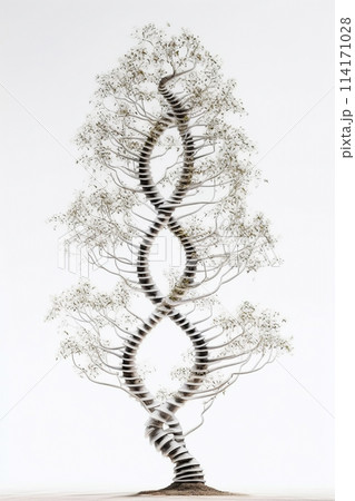 Eco DNA tree concept with green leaves. DNA tree concept for genetics, biotechnology and science 114171028