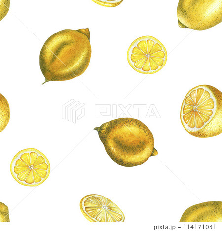 Watercolor lemon seamless pattern with lemons, cut lemon and slice. Hand drawn fresh yellow fruits isolated on white background. Painted Illustration for product design, print, fabric, decoration 114171031