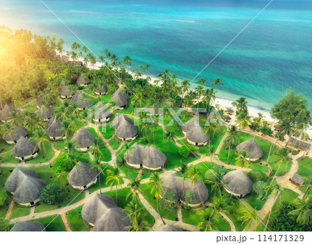 Aerial view of green palms, bungalows, grass, sandy beach, sea 114171329