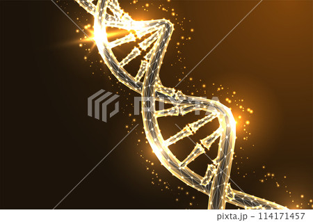 Golden DNA strand symbolizes futuristic genetic research and innovation on a dark brown background Golden DNA strand symbolizes futuristic genetic research and innovation on a dark brown background 114171457