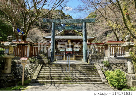 敦賀市、金崎宮の神楽殿 114171633