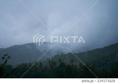 A tropical rainstorm in a rice field with cascading mountains and palm trees. 114171828