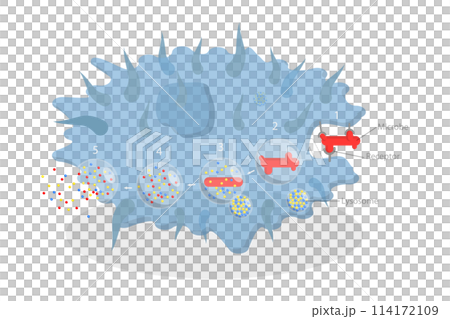 3D Isometric Flat  Conceptual Illustration of Phagocytosis, Labeled endocytosis Educational Scheme 114172109