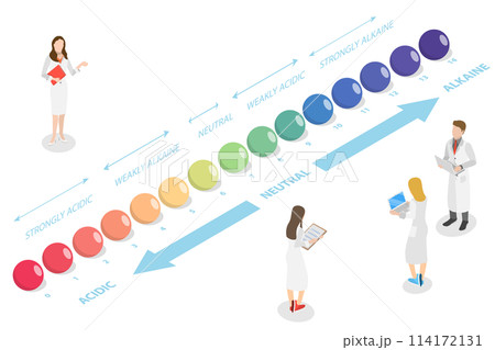 3D Isometric Flat  Conceptual Illustration of PH Scale, Acid-base Balance 114172131