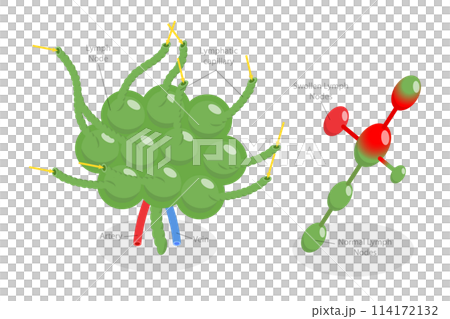 3D Isometric Flat  Conceptual Illustration of Lymph Node, Labeled Diagram 114172132