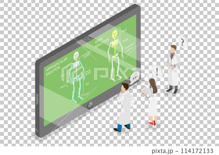 3D Isometric Flat Conceptual Illustration of Divisions Of Skeletal System, Anatomy Guide 3D Isometric Flat Conceptual Illustration of Divisions Of Skeletal System, Anatomy Guide 114172133
