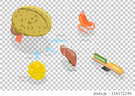 3D Isometric Flat Conceptual Illustration of Control Of Food Intake, Appetite and Hunger Hormones 3D Isometric Flat Conceptual Illustration of Control Of Food Intake, Appetite and Hunger Hormones 114172144