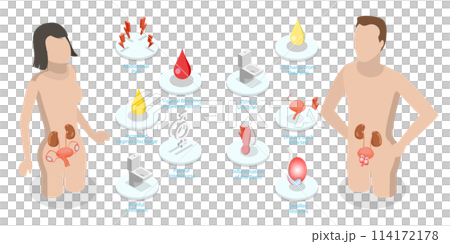 3D Isometric Flat Conceptual Illustration of Gonorrhea, Sexual Transmitted Bacteria 3D Isometric Flat Conceptual Illustration of Gonorrhea, Sexual Transmitted Bacteria 114172178