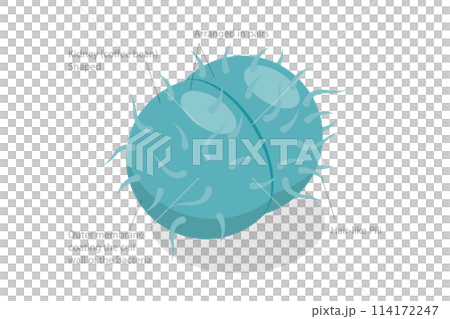 3D Isometric Flat Conceptual Illustration of Neisseria Gonorrhoeae, Sexual Transmitted Bacteria 3D Isometric Flat Conceptual Illustration of Neisseria Gonorrhoeae, Sexual Transmitted Bacteria 114172247