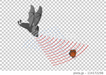 3D Isometric Flat  Conceptual Illustration of Echolocation, Sound Waves Reflecting 114172298