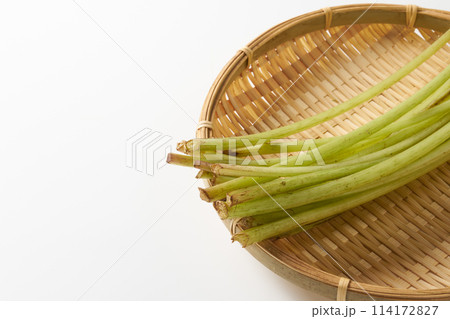 蕗 白背景 蕗 白背景 114172827