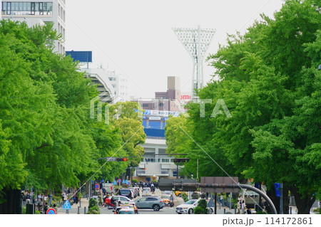 横浜公園方面の風景 114172861