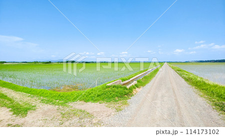 八郎潟干拓地 114173102