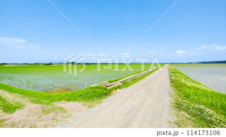 八郎潟干拓地 八郎潟干拓地 114173106